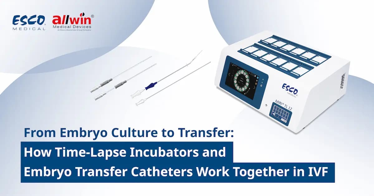 From Embryo Culture to Embryo Transfer: How Time-Lapse Incubators and Embryo Transfer Catheters Work Together in IVF